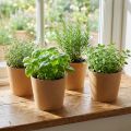 Fioriera, vaso di fiori, fioriera di carta naturale Ø15cm H13cm 4pz | Floristik24.it