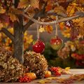 Decorazione autunnale a forma di mela in ceramica da appendere, 5 cm, 4 pezzi | Floristik24.it