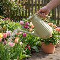 Annaffiatoio da 9 litri in verde oliva con rosa rimovibile, pratico per la cura del giardino e dei fiori, robusto, 42 cm | Floristik24.it
