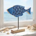 Pesce decorativo marittimo in legno su supporto blu 25 cm × 24,5 cm | Floristik24.it