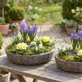 Anelli portavaso in rattan sintetico, colore grigio naturale, Ø40/45 cm, set da 2. | Floristik24.it