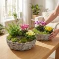 Fioriere in salice bianco, set da 2, Ø25/30 cm, decorative per piante da interno | Floristik24.it