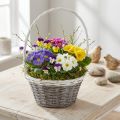 Cestino in vimini con manico, grigio e bianco, Ø29cm, regalo, decorazione floreale | Floristik24.it