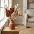 Palme selezionate Marocco 30 pezzi | Floristik24.it
