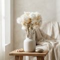 Fiori secchi, fiori a cappello, bianco naturale, fiori di paglia, bouquet di fiori secchi H33cm | Floristik24.it