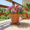Piedini per vasi da fiori, pratici rialzi, accessori per vasi da balcone e terrazzo, 7 cm, 3 pezzi | Floristik24.it