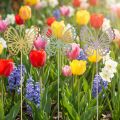 Paletto da giardino farfalla in metallo tricolore L25cm 6 pezzi | Floristik24.it