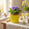 Polsini plissettati gialli 18,5 cm 100 pezzi | Floristik24.it