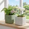 Fioriera in ceramica bianco verde rilievo rete 17x17cm H15cm 2pz | Floristik24.it