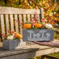 Cofanetto in legno fungo fungo, decorazioni autunnali, decorazioni da giardino, scatole per piante L40 / 30cm, set di 2 | Floristik24.it