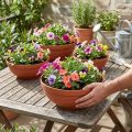 Ciotola R in terracotta plastica Ø 13cm - 19cm, 10pz | Floristik24.it