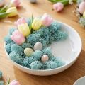 Decorazione muschio azzurro acquamarina renna muschio muschio artigianale 400g | Floristik24.it