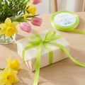 Nastro regalo verde lime nastro decorativo nastro di raso 8mm 50m | Floristik24.it