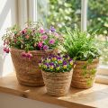 Set di cestini per piante in rattan, naturale/marrone, 3 pezzi, Ø26/22/16 cm – Decorativo e versatile | Floristik24.it