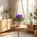 Altalena per piante, fioriera su corda, cesto sospeso con macramè Ø34cm L84cm | Floristik24.it