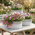 Vaso per piante, contenitore in metallo con motivo a pizzo, vaso decorativo ovale, bianco e argento, shabby chic, L41.5/35/29.5cm H19/16/14.5cm, set da 3 | Floristik24.it