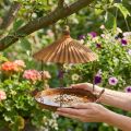 Bagno decorativo per uccelli, bagno per uccelli, griglia decorativa da giardino Ø23cm H27,5cm | Floristik24.it