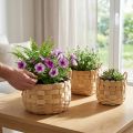 Set di 3 cestini per piante naturali, cesto per fiori, fioriera, cestino decorativo boho, intrecciato, Ø18/23/29 cm | Floristik24.it