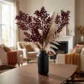 Rami decorativi Ruscus Red essiccati rosso scuro 75-95 cm 1 kg | Floristik24.it