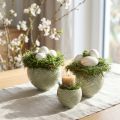 Ciotole in ceramica con motivo a spirale verde Ø9cm H7cm 4pz | Floristik24.it