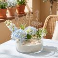 Tappi per fiori Tappi decorativi marittimi in legno 7 cm 12 pezzi | Floristik24.it