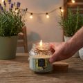 Candela profumata in vetro alla citronella verde salvia H11,5 cm | Floristik24.it