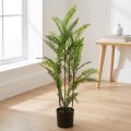 Felce in vaso verde 80 cm | Floristik24.it