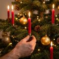 Candele piramidali candele albero rosso cera Ø14mm H70mm 50pz | Floristik24.it