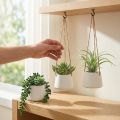 Cestini sospesi piante grasse artificiali verdi assortiti 18 cm 3 pezzi | Floristik24.it