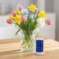 Filo decorativo per fioristi per idee creative di artigianato e composizioni floreali | Floristik24.it