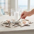 Conchiglie decorative Spine di riccio, spine di riccio di mare, decorazione marittima L3–8cm 450g | Floristik24.it