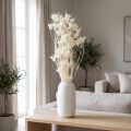 Fiori di Nigella secchi, mazzo di elegante decorazione naturale per interni esclusivi, 70 cm, 50 g | Floristik24.it