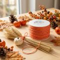 Filo di carta avvolto Ø2mm 100m Arancione | Floristik24.it