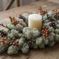 Muschio decorativo, muschio naturale grigio per lavori artigianali, essiccato e tinto, 500 g | Floristik24.it
