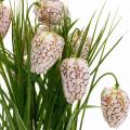Floristik24 Fiore a scacchiera artificiale in vaso, Fritillaria di fiori primaverili, Fiore di seta rosso bianco