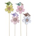 Floristik24 Spine per fiori decorazione primaverile decorazione per uccelli in legno 8×6 cm 12pz