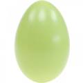Floristik24 Uova d&#39;oca verde pastello uova soffiate decoro pasquale 12pz