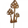 Floristik24 Spina da giardino patina fungo decorativo spina 10 cm 6 pezzi
