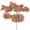 Floristik24 Paletto da giardino con motivo a zucca, decorazione in metallo, finitura ruggine, 100 cm