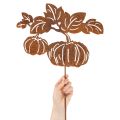 Paletto da giardino con motivo a zucca, decorazione in metallo, finitura ruggine, 100 cm | Floristik24.it