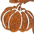 Paletto da giardino con motivo a zucca, decorazione in metallo, finitura ruggine, 100 cm | Floristik24.it