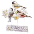Floristik24 Pali da giardino uccelli in metallo, picchetti per fiori per il giardino 84 cm