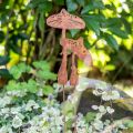 Floristik24 Patina di coppia di funghi con palo da giardino H49,5 cm