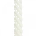 Floristik24 Candele attorcigliate candele a spirale crema Ø2,2 cm H30 cm 2 pezzi