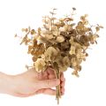 Pianta di eucalipto artificiale, ramo decorativo color oro per decorazione da tavola, 24 cm | Floristik24.it