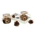 Floristik24 Set regalo con bicchieri tealight
