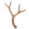 Floristik24 Corna artificiali, realistiche, rustiche, 32 cm