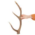 Corna artificiali decorative, decorazione rustica per baita, 50 cm | Floristik24.it