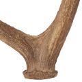 Corna artificiali decorative,