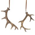 Floristik24 Ciondoli decorativi rustici a forma di corna di cervo per parete o albero, 15 cm, 6 pezzi